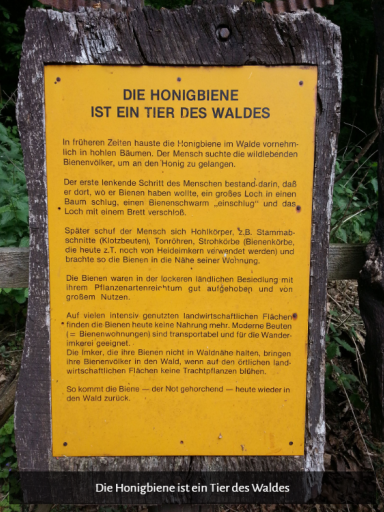 Mellis Bienenlehrpfad