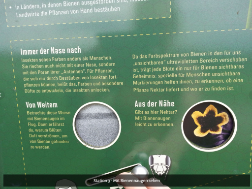 Mellis Bienenlehrpfad