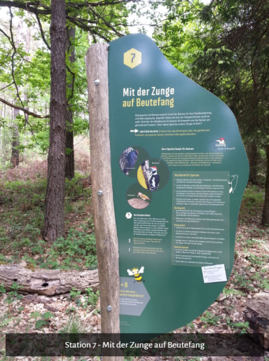 Mellis Bienenlehrpfad